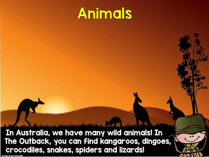 slide about animals in australia | Lucky Learning with Molly Lynch